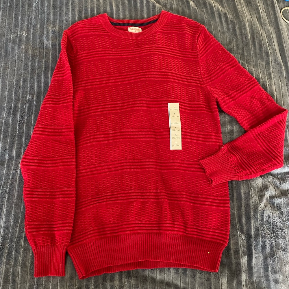 Cat and Jack red boys sweater